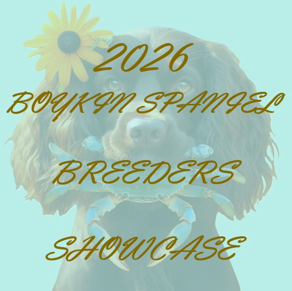 2026 Breeder Showcase Cr=t 0%25,l 0%25,w 100%25,h 100%25